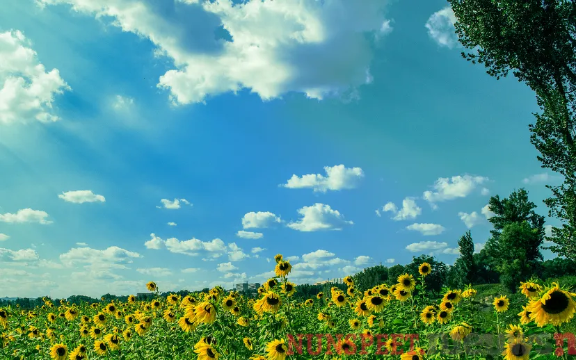 ontwerp zonder titel 23 1