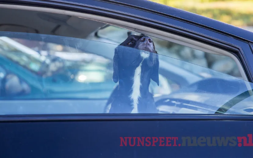 ontwerp zonder titel 26