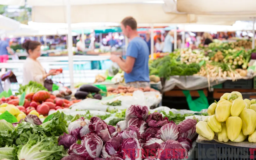 ontwerp zonder titel 27