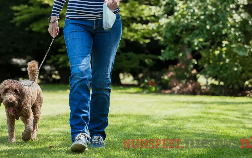 ontwerp zonder titel 31