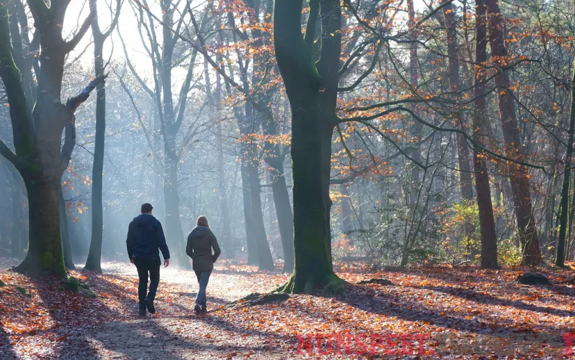 ontwerp zonder titel 31