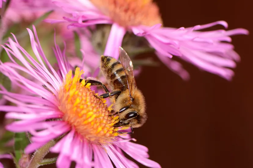 ontwerp zonder titel 31