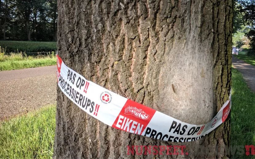 ontwerp zonder titel 37