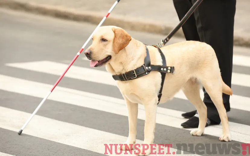 ontwerp zonder titel 38