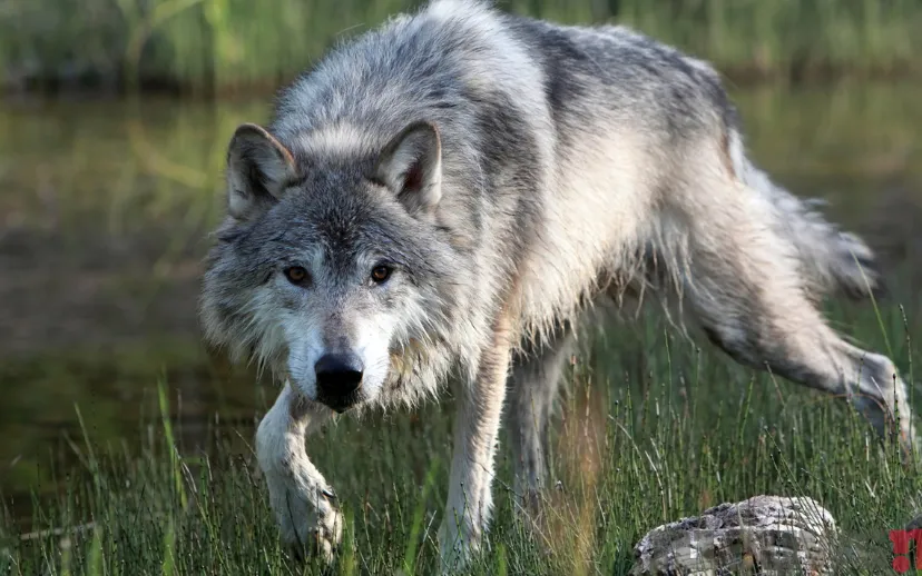 ontwerp zonder titel 39