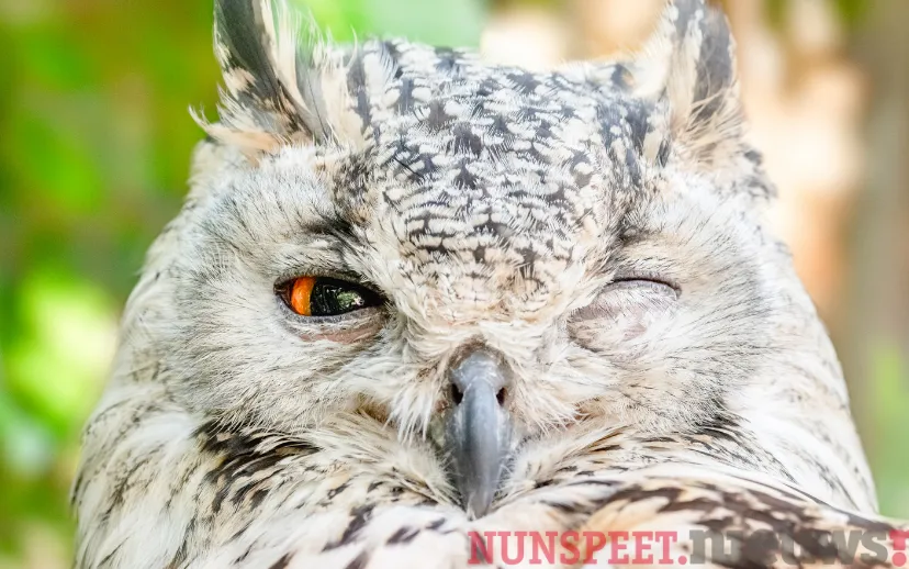 ontwerp zonder titel 40