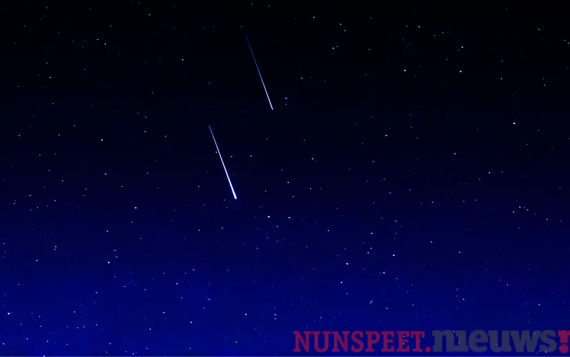 ontwerp zonder titel 42