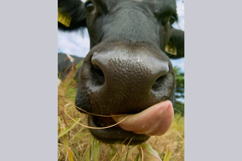 ontwerp zonder titel 48