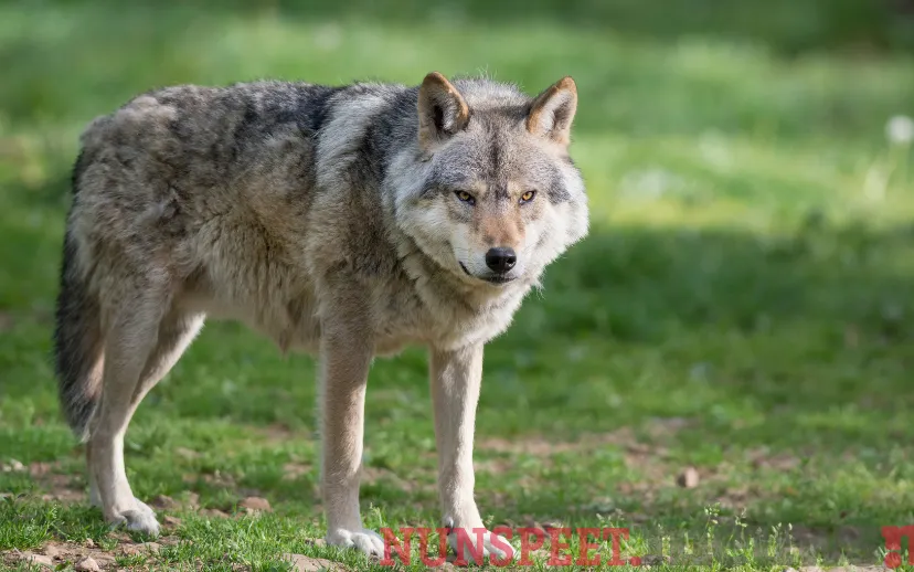 ontwerp zonder titel 5