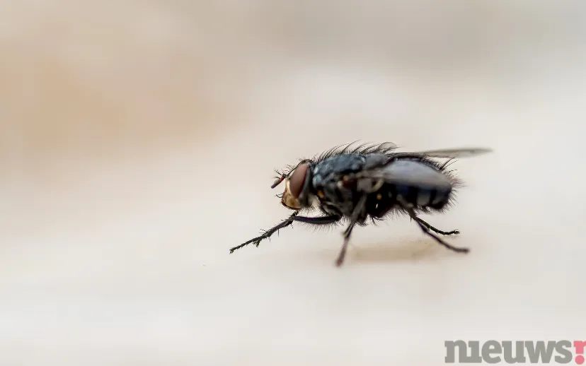 ontwerp zonder titel 52