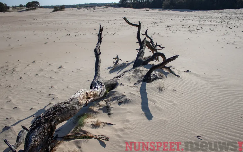 ontwerp zonder titel 56