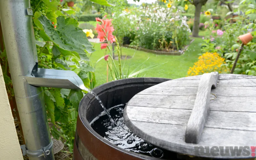 ontwerp zonder titel 64