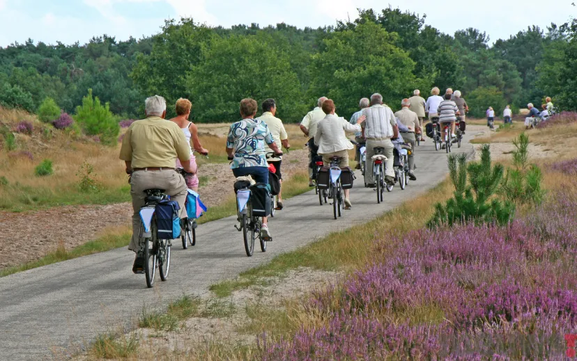 ontwerp zonder titel