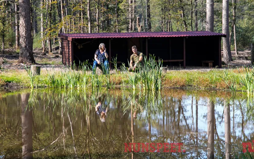 ontwerp zonder titel 68