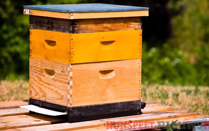 ontwerp zonder titel 72