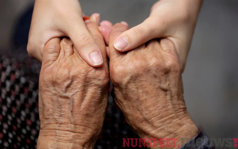 ontwerp zonder titel 73 1