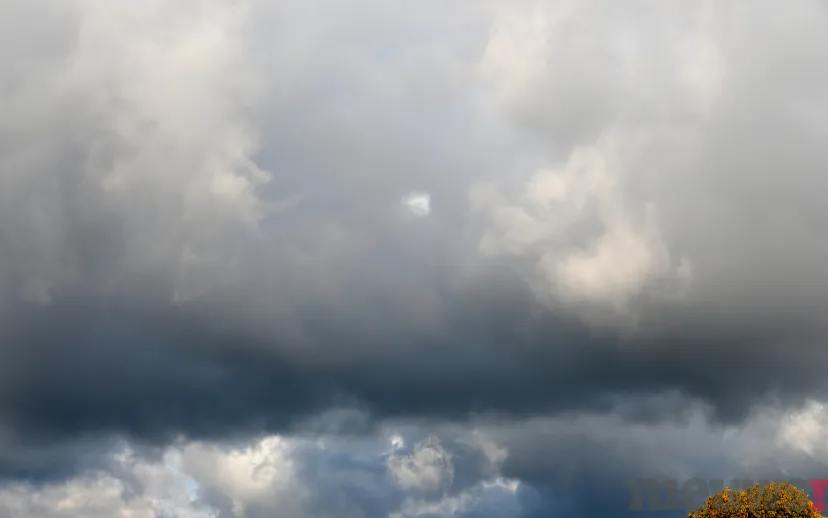 ontwerp zonder titel 74