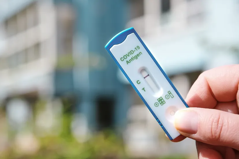 ontwerp zonder titel 79