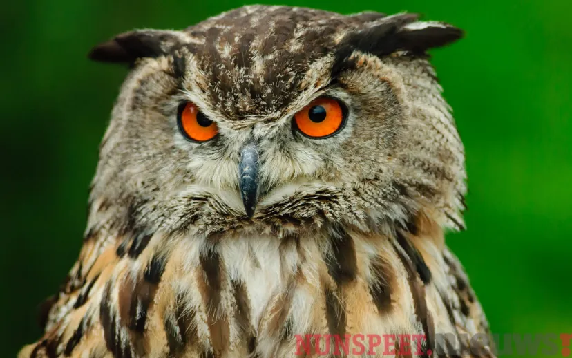 ontwerp zonder titel 95