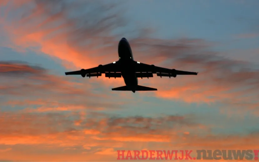 ontwerp zonder titel 98