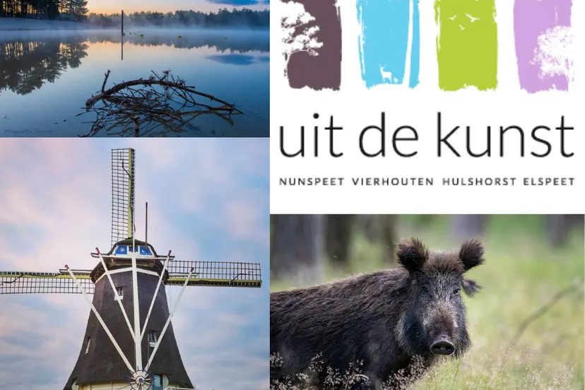 ontwerp zonder titel