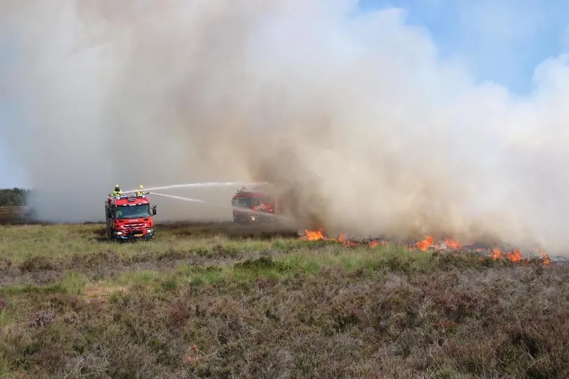 photo 2019 12 19 16 16 49