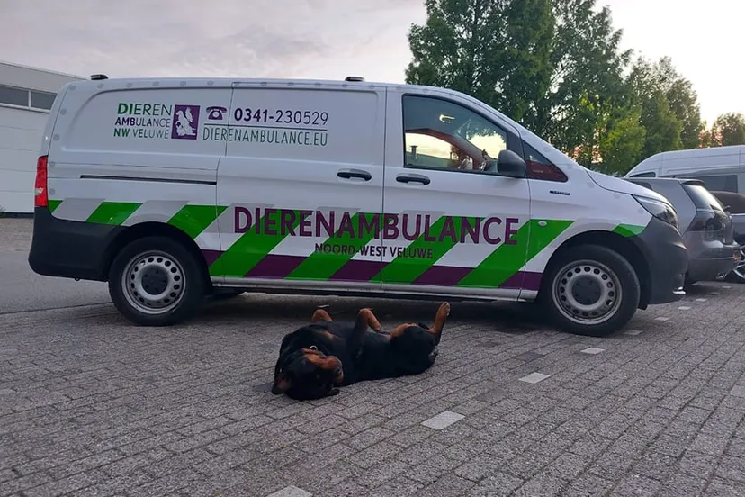 week 13 foto dierenambulance vacature van de week