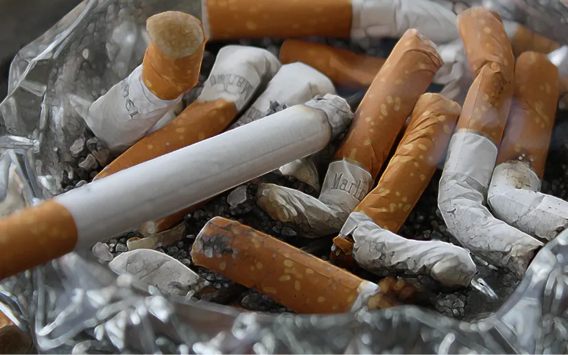 ontwerp zonder titel 2024 08 06t081827406