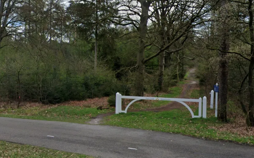 ontwerp zonder titel 90