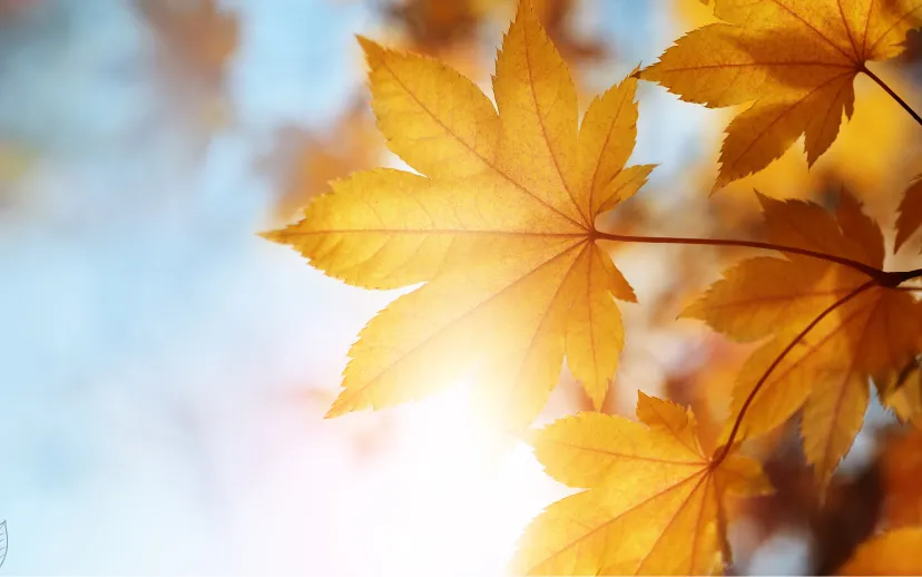 ontwerp zonder titel 2