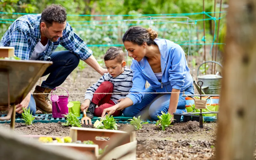 ontwerp zonder titel 4