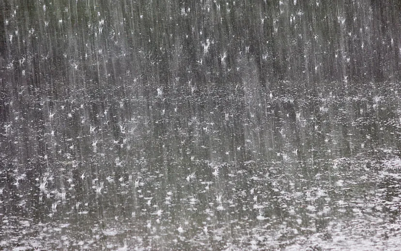 ontwerp zonder titel 22