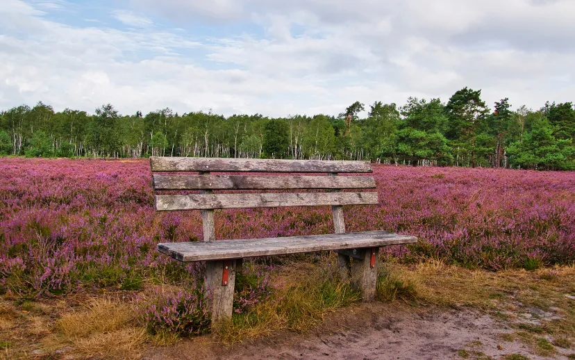 ontwerp zonder titel 68