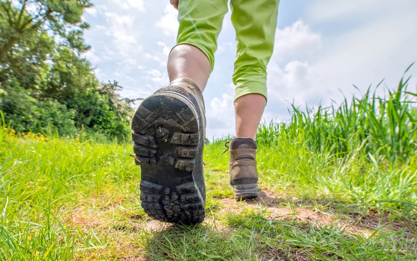 ontwerp zonder titel 7