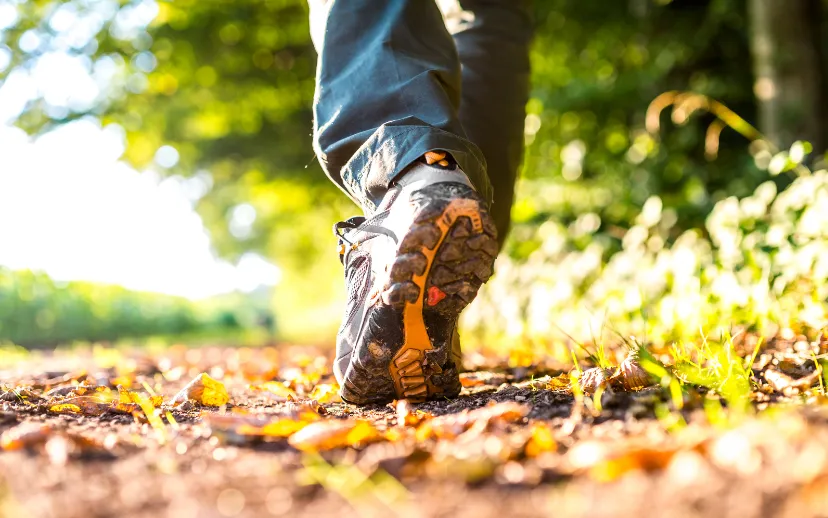 ontwerp zonder titel 34