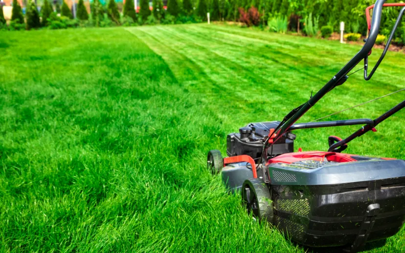 grasmaaien