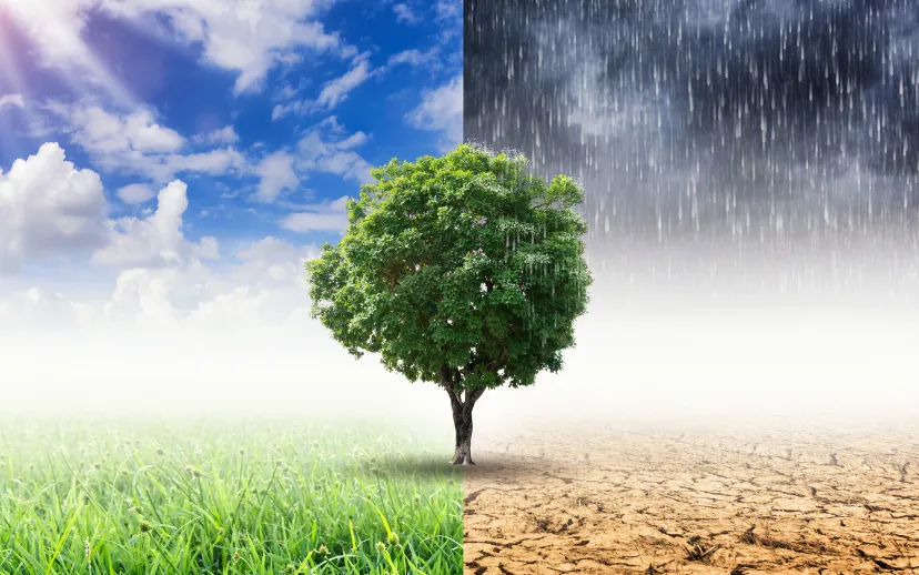 Ontwerp zonder titel (19)