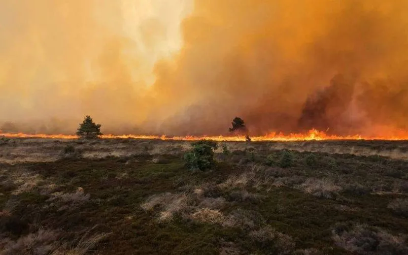 Ontwerp zonder titel (3)