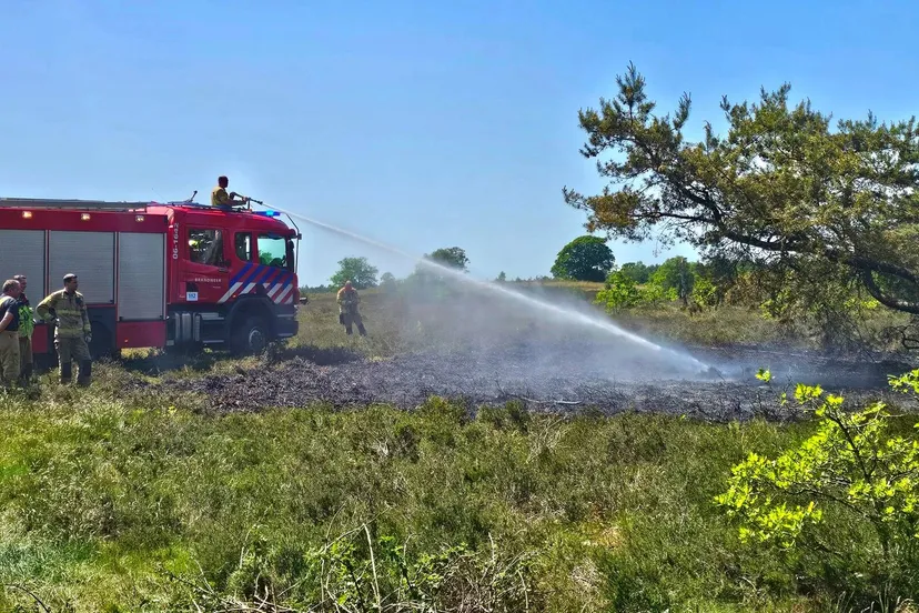 heidebrand frusselt vierhouten (3)