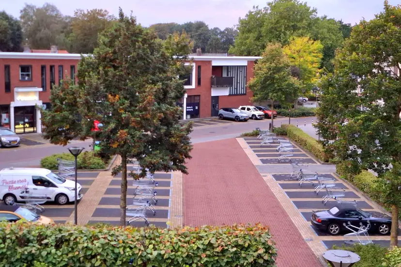 Lidl winkelwagen parkeervak