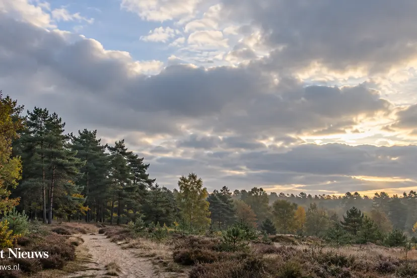 AI-illustratie bij het weer in Nunspeet: wolkenlucht boven een bosrand en zandpad
