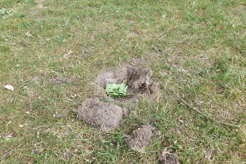 100530284 1795220383953503 2112802603128586240 o