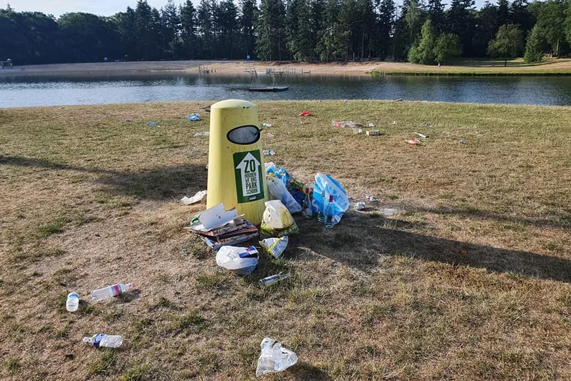 101890219 1804408363034705 1368809517504004096 n