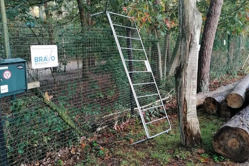 121037675 3352612438109819 7335240066114143846 o