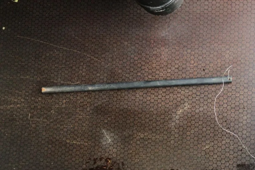 123111721 2716149095310778 8439286441063875270 o e1603912869401