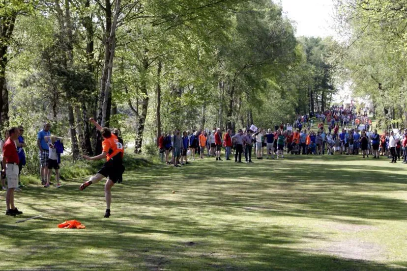 14212632 918555948277008 8766598061971880780 n