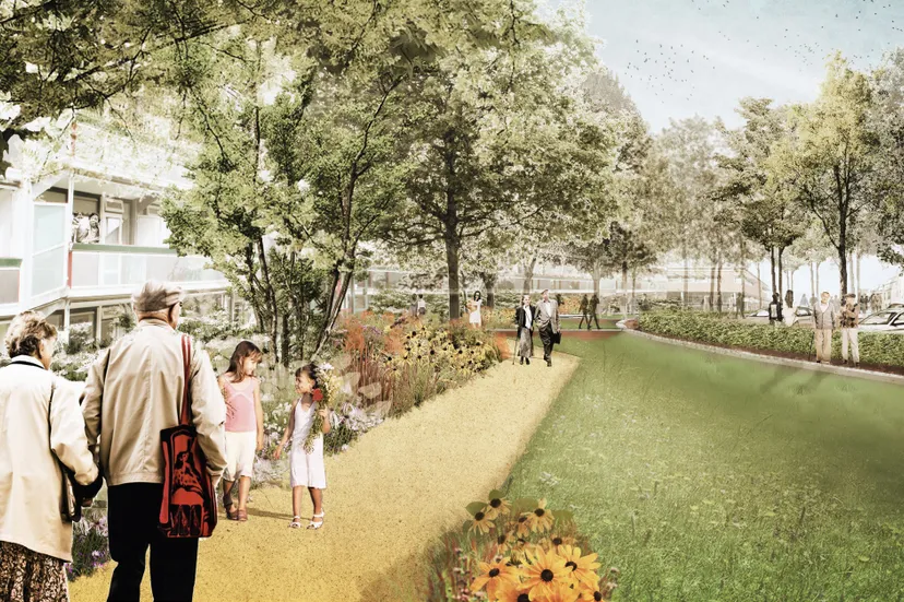 15 118 vo oldenzaal vijfhoek visual singelpark 181220