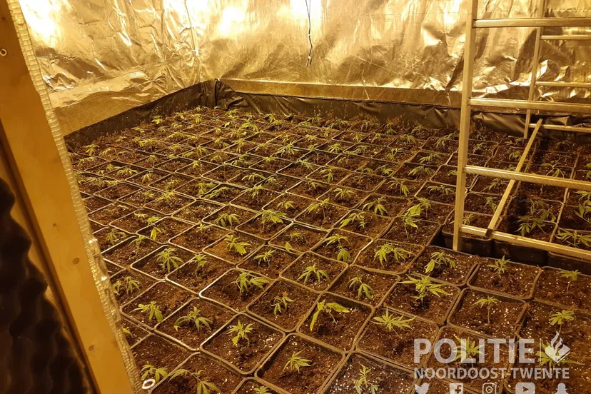 214418504 2901643333428019 7917534831072523279 n