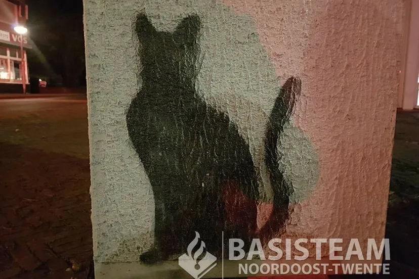 23621368 1960474330878262 5982120220594605281 n