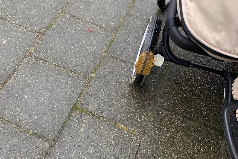 271716386 635547794314238 1896275399709317121 n